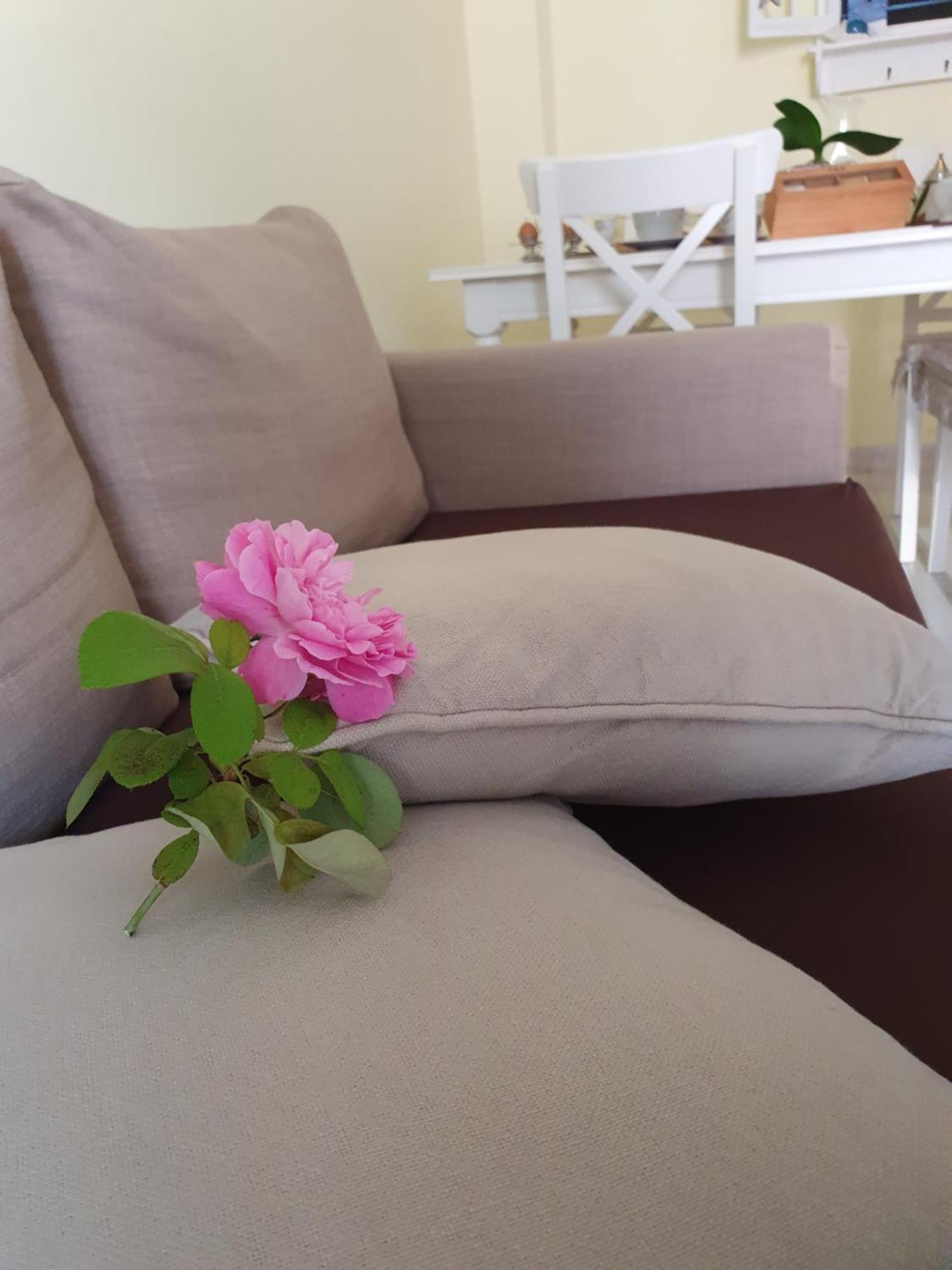 Casa Vacanze Rosy "Nel Verde" Palinuro Εξωτερικό φωτογραφία