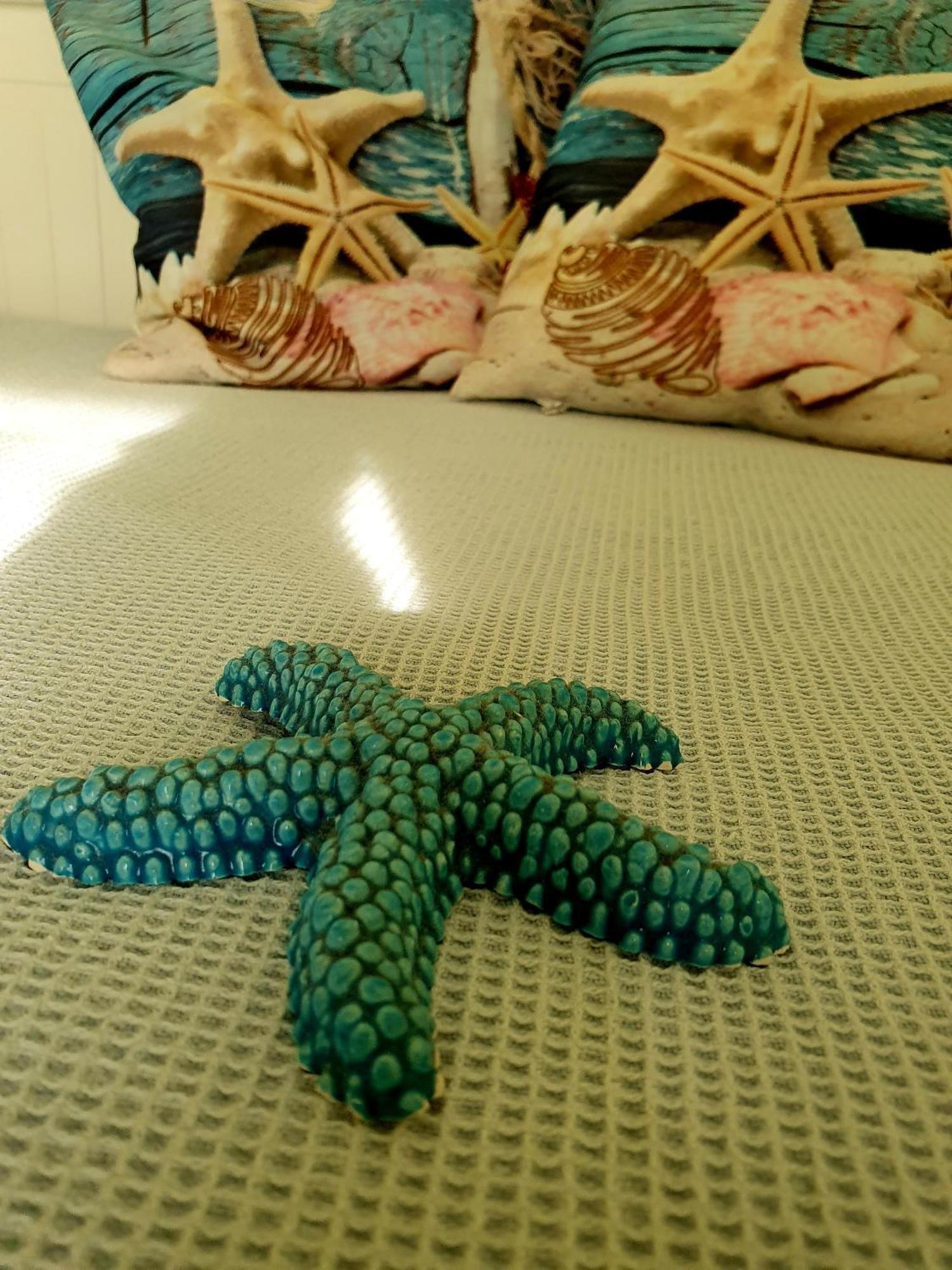 Casa Vacanze Rosy "Nel Verde" Palinuro Εξωτερικό φωτογραφία